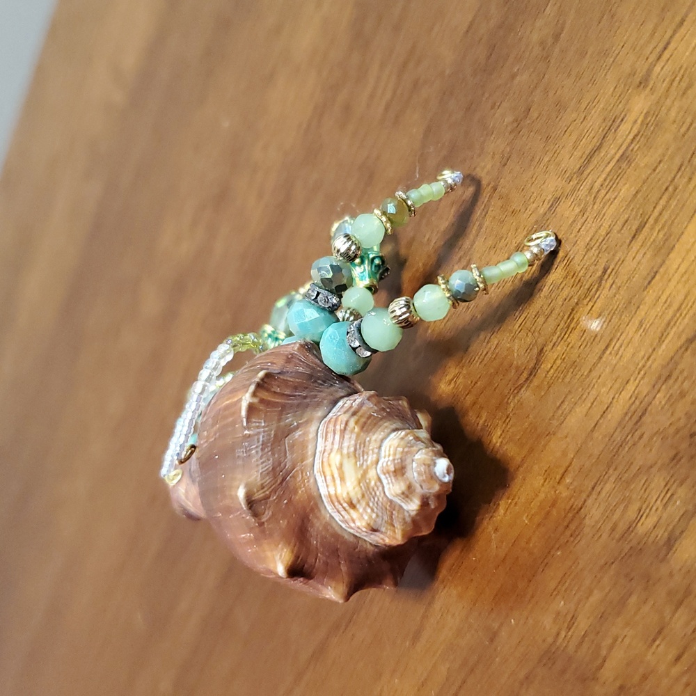 Beaded Sea Shell Hermit Crab - Picture 4 of 6
